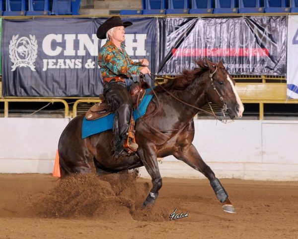 RMRHA Summer Slide | Schwartzenberger Equine